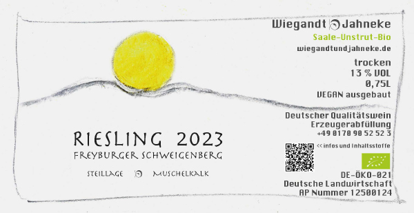 Die Trauben für den Biowein Riesling, Jahrgang 2023, aus der Weinregion Saale-Unstrut wuchsen auf der Freyburger Steinlage Schweigenberg.